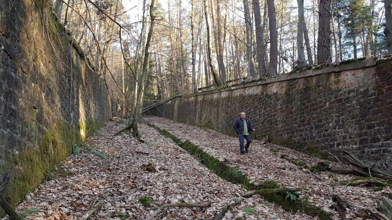 Chambre Avec Grand Lit Soultz-sous-Forets Dış mekan fotoğraf